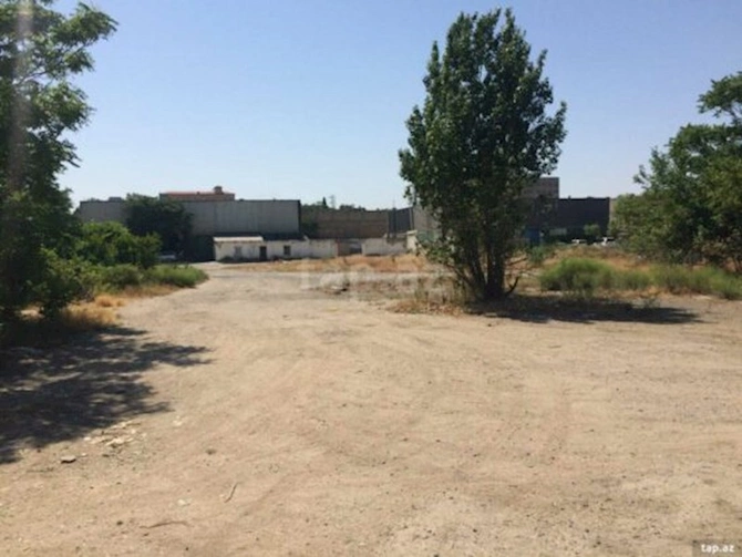 Salyanda 40 min sot torpaq 10 milyon manata satışa çıxarılıb — Əl yandıran bazar qiymətləri (FOTOLAR)