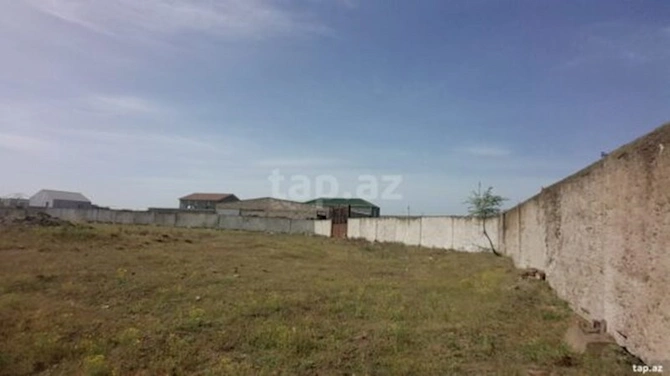 Salyanda 40 min sot torpaq 10 milyon manata satışa çıxarılıb — Əl yandıran bazar qiymətləri (FOTOLAR)