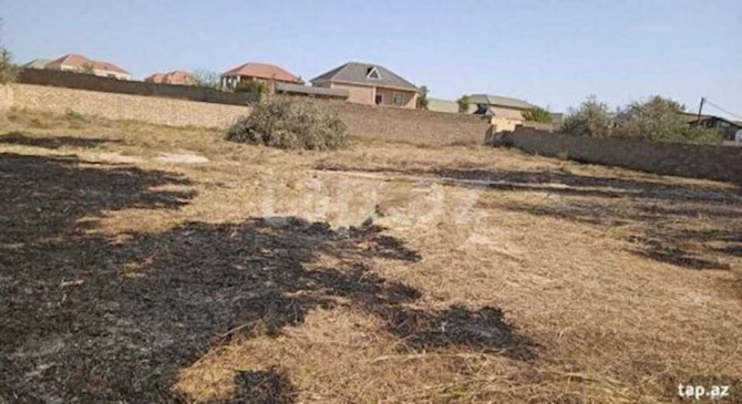 Salyanda 40 min sot torpaq 10 milyon manata satışa çıxarılıb — Əl yandıran bazar qiymətləri (FOTOLAR)