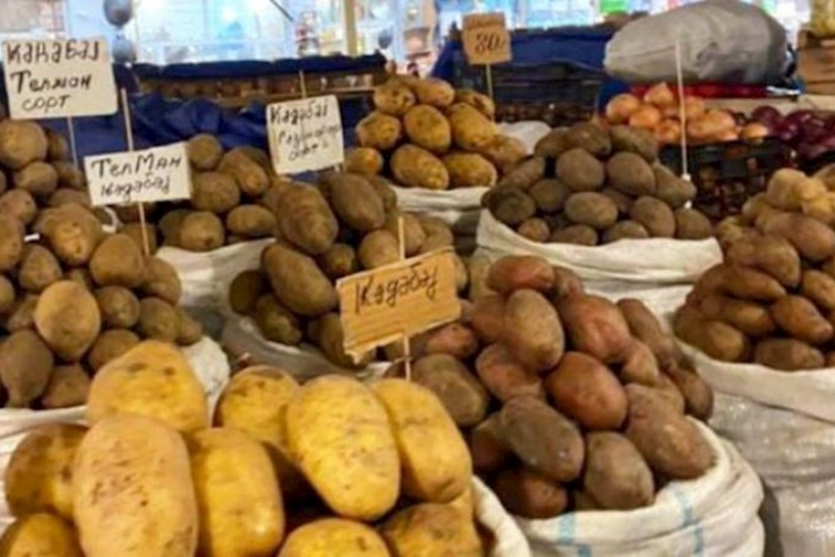 Kartof kəskin bahalaşa bilər — SƏBƏBLƏR