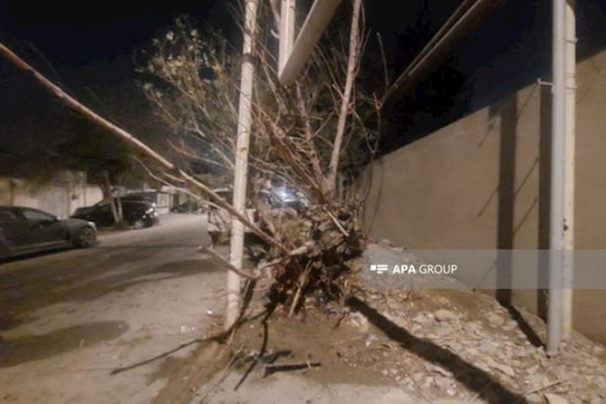 Bakıda idarəetmədən çıxan maşın ağac və qaz dirəyini qoparıb — FOTO Bakıda idarəetmədən çıxan maşın ağac və qaz dirəyini qoparıb — FOTO