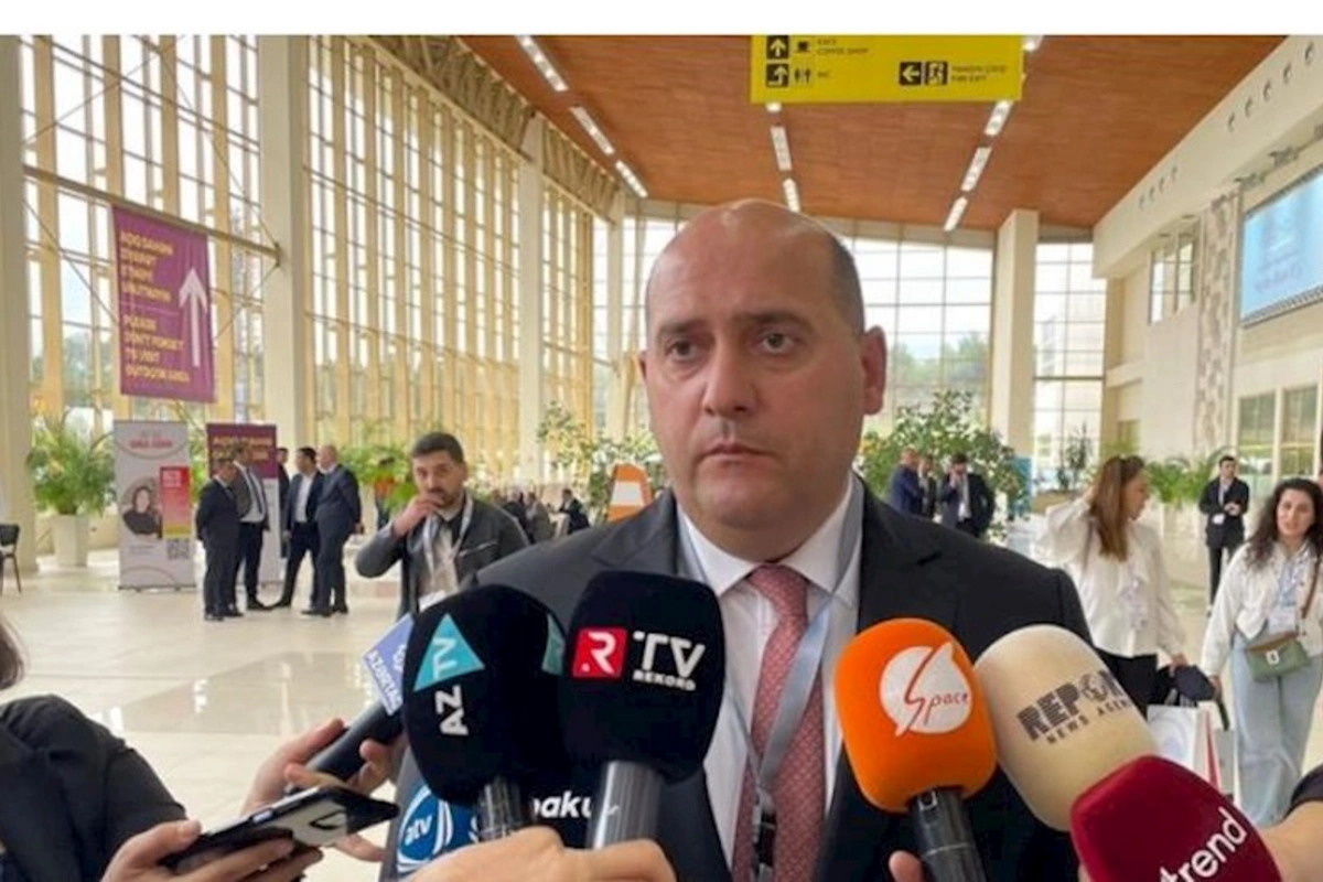 Qarabağda işlər alternativ enerji mənbələrindən istifadə edilməklə həyata keçirilməlidir