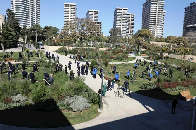 Bakıda növbəti ağacəkmə aksiyası keçirilib — FOTOLAR
