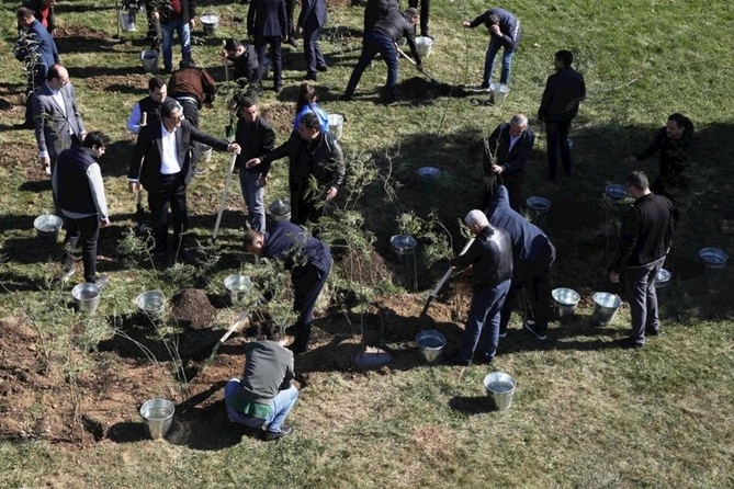 Bakıda növbəti ağacəkmə aksiyası keçirilib — FOTOLAR