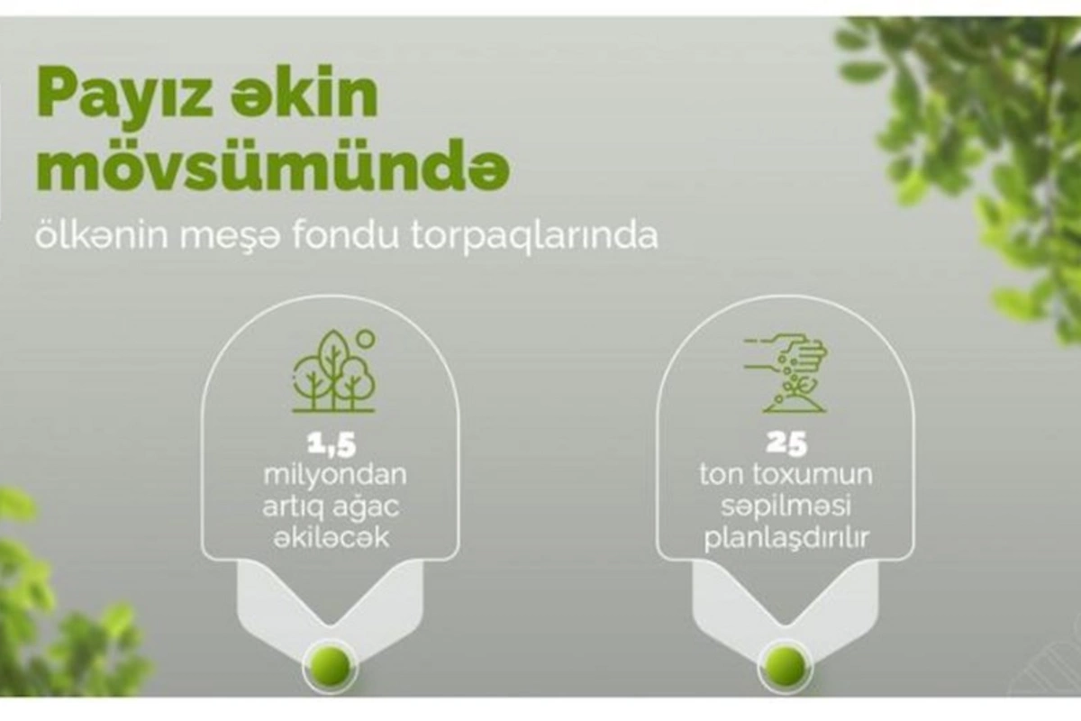Meşə fondu torpaqlarında 1,5 milyondan çox yeni ağac əkiləcək