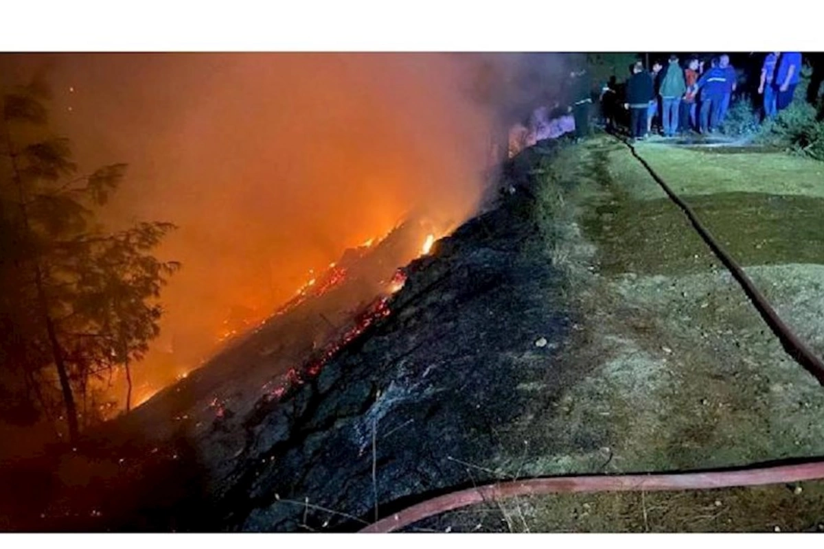 Muğlada meşə yanğını başladı