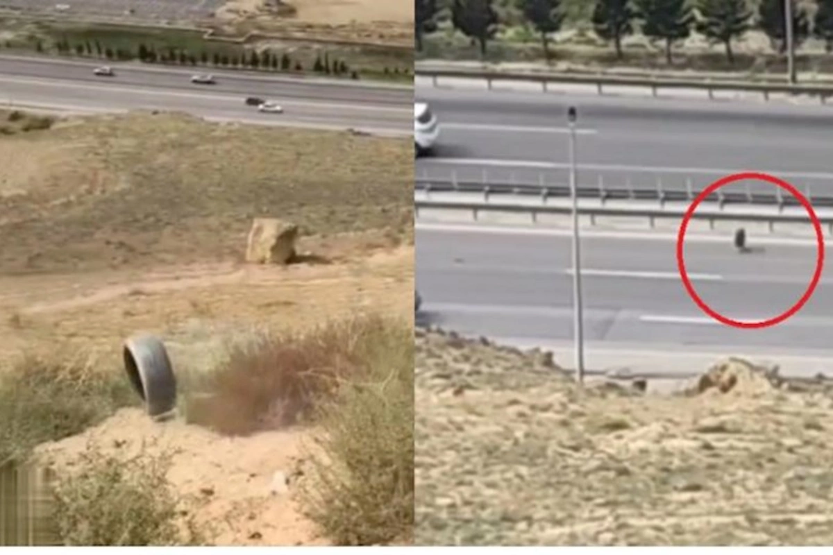 Bakıda yola təkər atan yeniyetmələr SAXLANILDI — VİDEO/FOTO