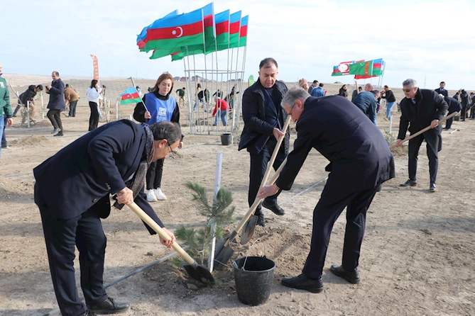 Türk dövlətləri milli ağaclandırma günü“ndə ölkə ərazisində 11 min 111 ağac əkilib — FOTO Türk dövlətləri milli ağaclandırma günü“ndə ölkə ərazisində 11 min 111 ağac əkilib — FOTO