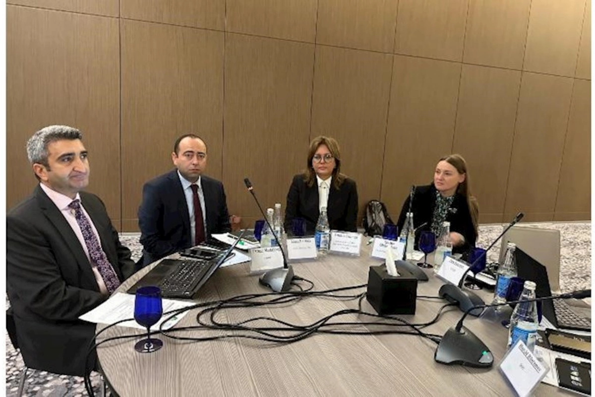 İqlim dəyişmələri təsirlərinin azaldılması istiqamətində ardıcıl tədbirlər həyata keçirilir — ETSN rəsmisi