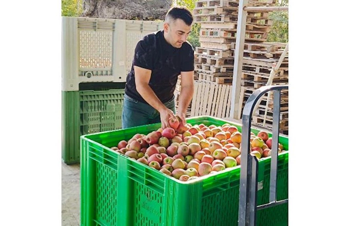 “Araz” supermarketlər şəbəkəsi fermerlərin məhsullarını tarladan birbaşa rəflərə çatdırır “Araz” supermarketlər şəbəkəsi fermerlərin məhsullarını tarladan birbaşa rəflərə çatdırır