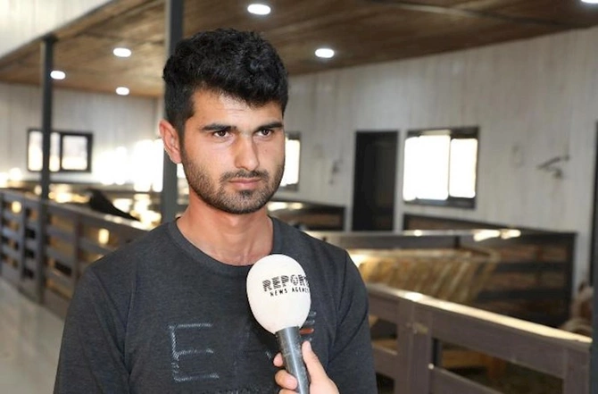 Laçındakı keçi fermasından — REPORTAJ Laçındakı keçi fermasından — REPORTAJ