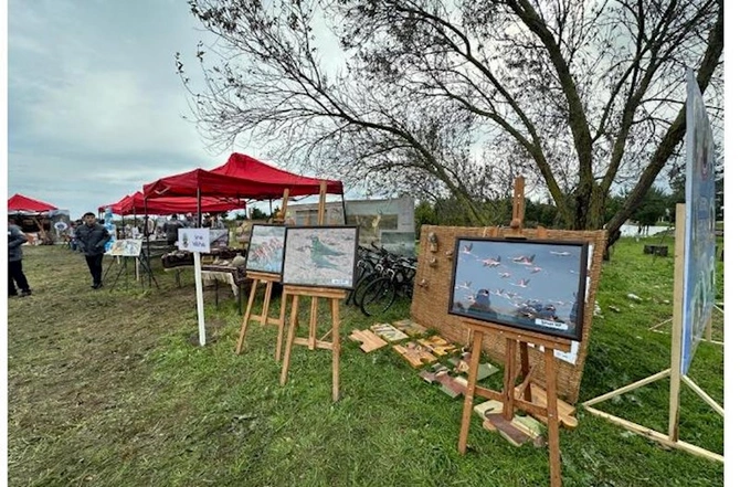 Flaminqo festivalı — Təbiətlə insanın vəhdəti (FOTOLAR) Flaminqo festivalı — Təbiətlə insanın vəhdəti (FOTOLAR)