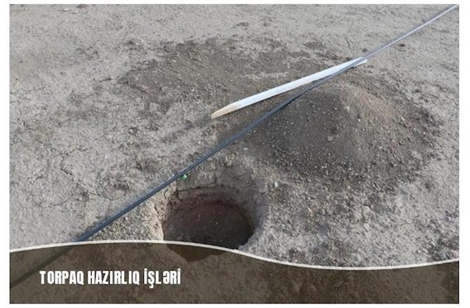 Müşfiqabadda son bir ayda 16 mindən artıq ağac əkilib — FOTOLAR Müşfiqabadda son bir ayda 16 mindən artıq ağac əkilib — FOTOLAR