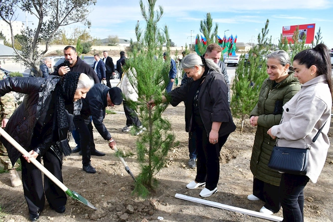 Abşeron rayonunda “Heydər Əliyev İli” çərçivəsində genişmiqyaslı ağacəkmə aksiyası keçirilib