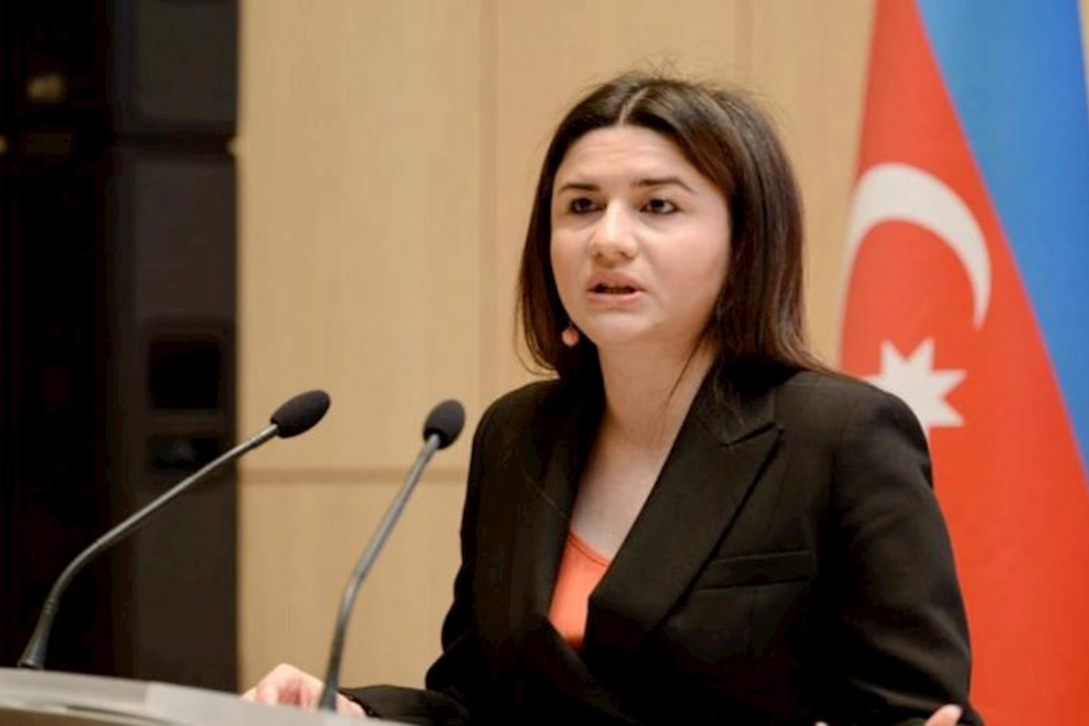 Dövlət Agentliyinin direktoru təhsil ekspertlərini sərt tənqid etdi