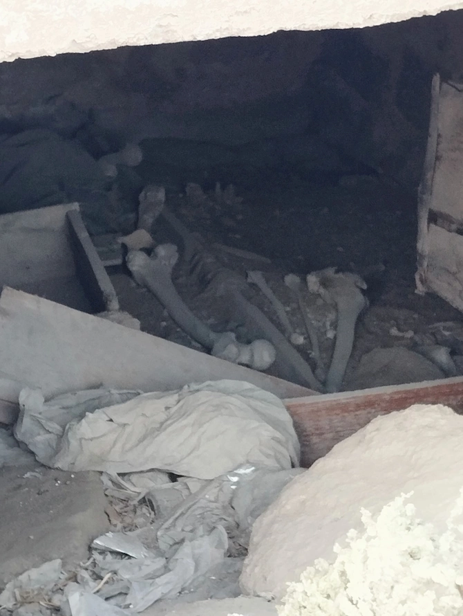 “İslamda ölünü əmanət qoymaq anlayışı yoxdur” — Müvəqqəti dəfn yerləri nə məqsədlə tikilib? (FOTOLAR)
