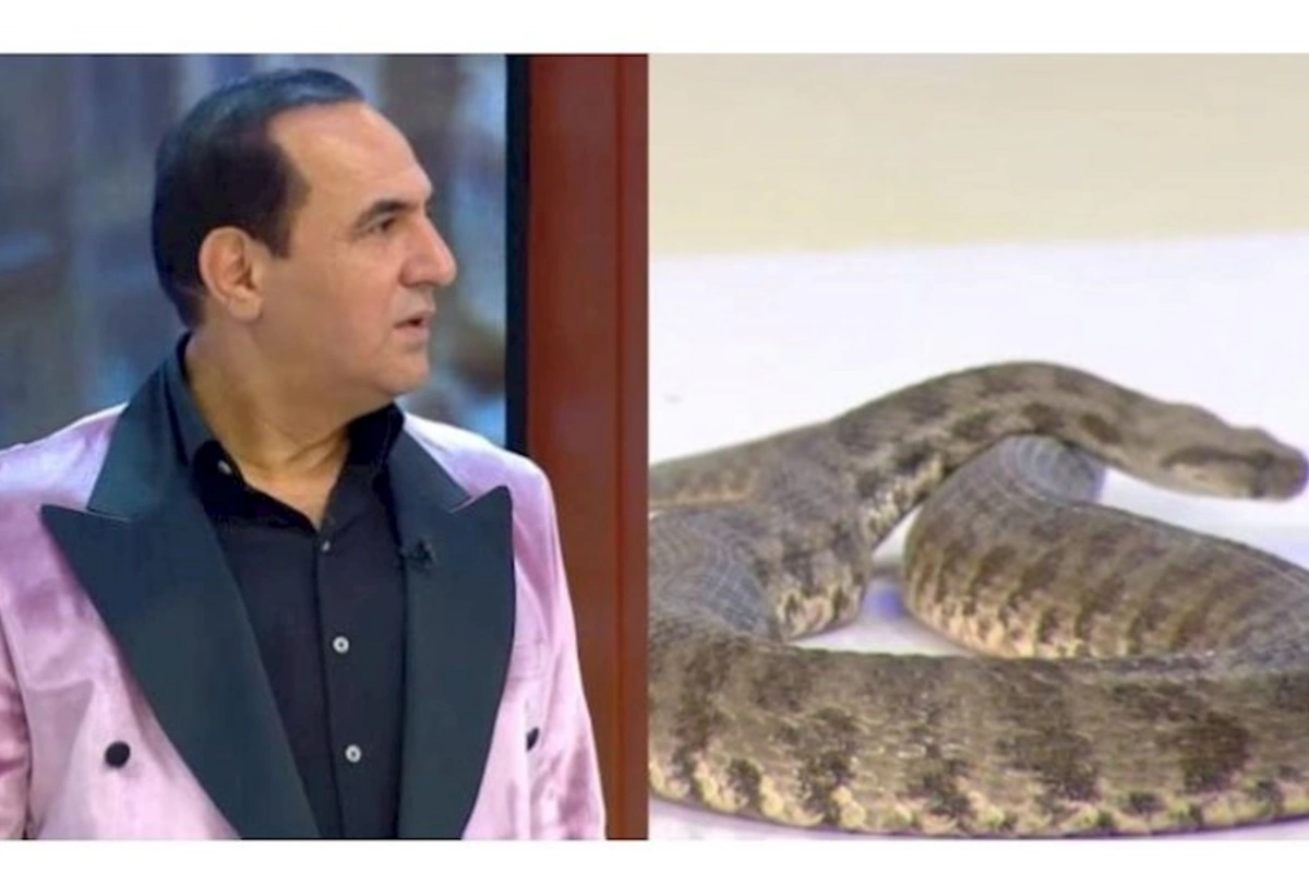 Manaf Ağayev canlı yayımda ilana mahnı oxudu — VİDEO