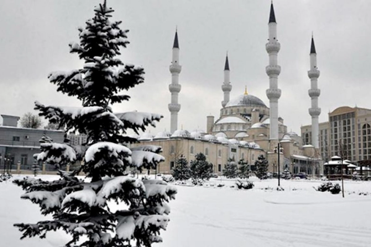 Soyuq havaya görə bu ölkədə onlayn təhsilə keçildi