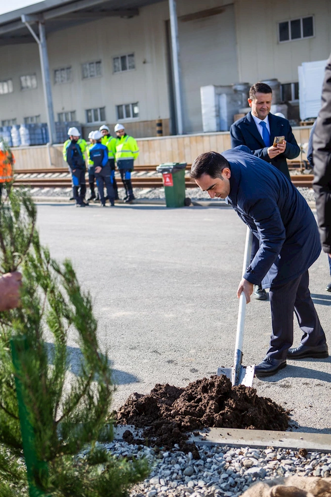 Bakı Limanında daha bir kütləvi ağacəkmə aksiyası keçirilib — FOTOLAR