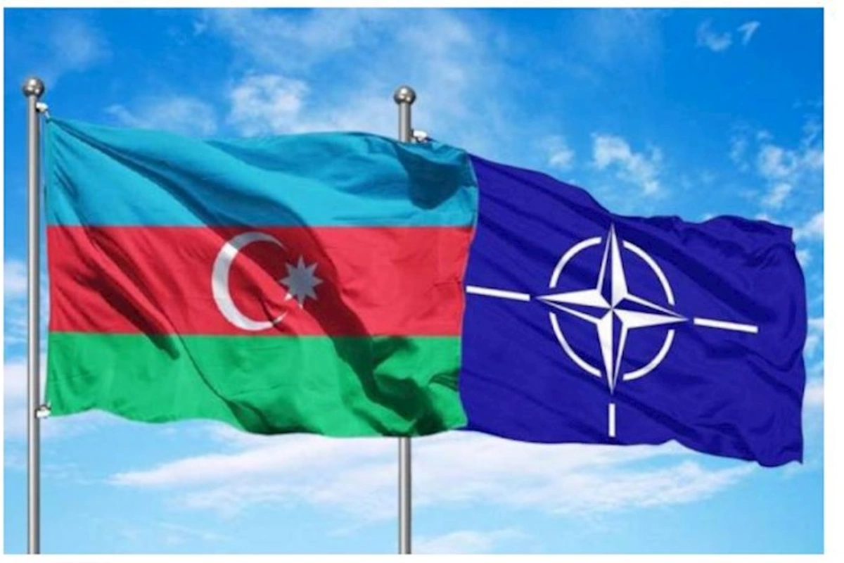 Azərbaycanın NATO ilə tərəfdaşlığının perspektivləri müzakirə edilib