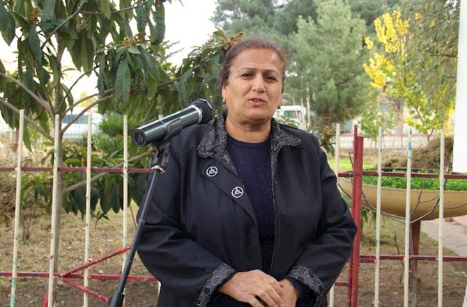 Samuxda 9 müraciət ünvanlandı — FOTO