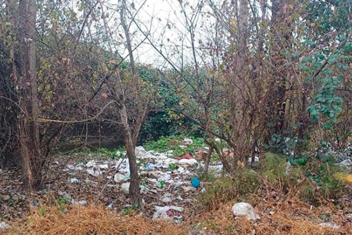 Balakəndə ətraf mühiti çirkləndirən şəxs məsuliyyətə cəlb olunub