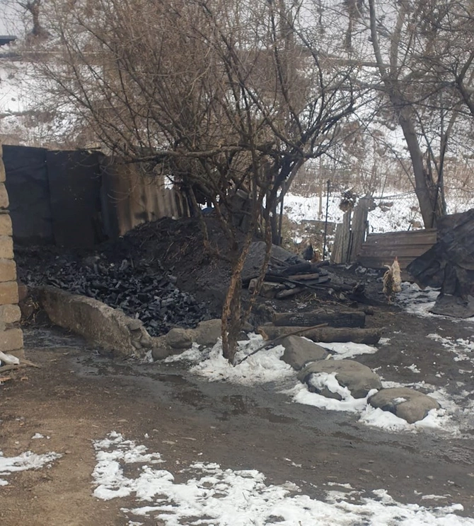 Qanunsuz yolla ağac kömürü istehsal edilən kömür quyuları aşkar olunub — FOTO