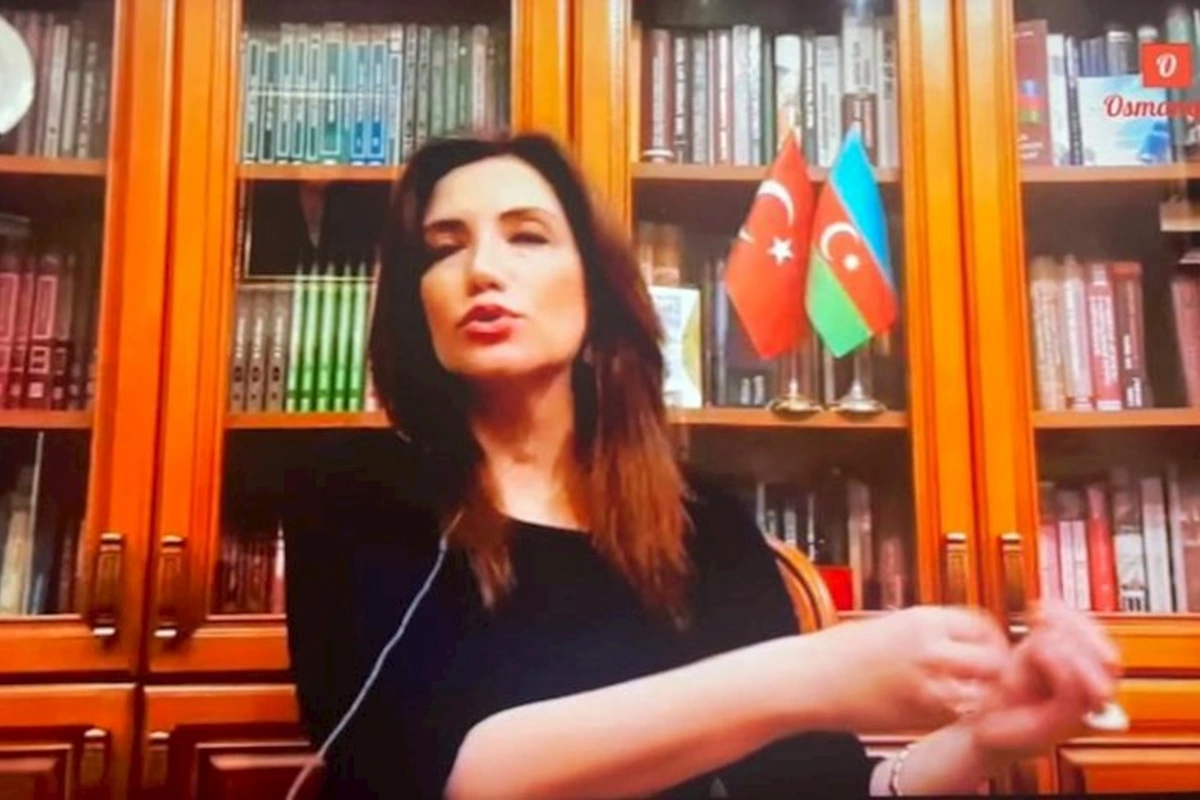 Gültəkin Hacıbəyli Paşinyanın müdafiəsinə qalxdı — ŞOK VİDEO
