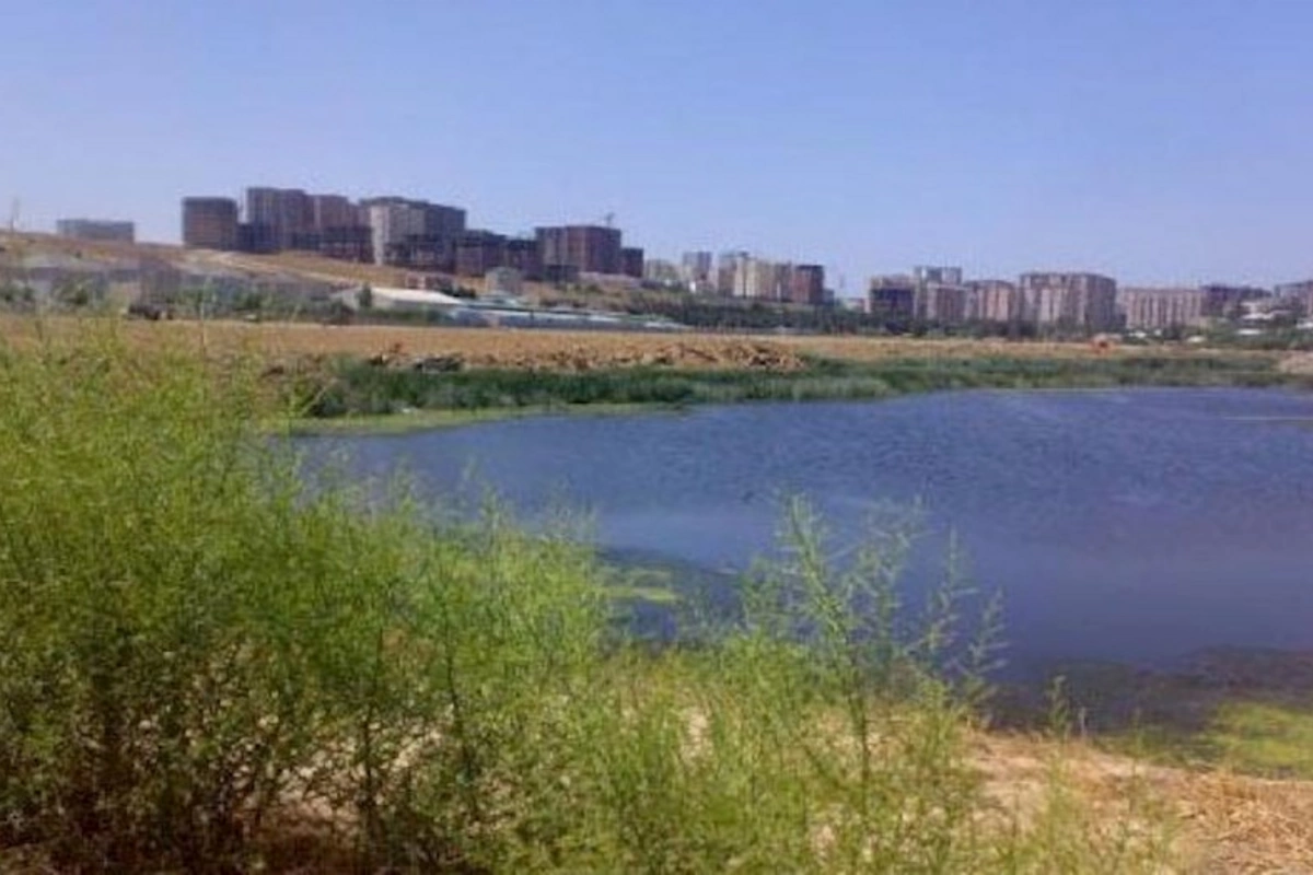 Qanlı gölün ətrafında park salınacaq