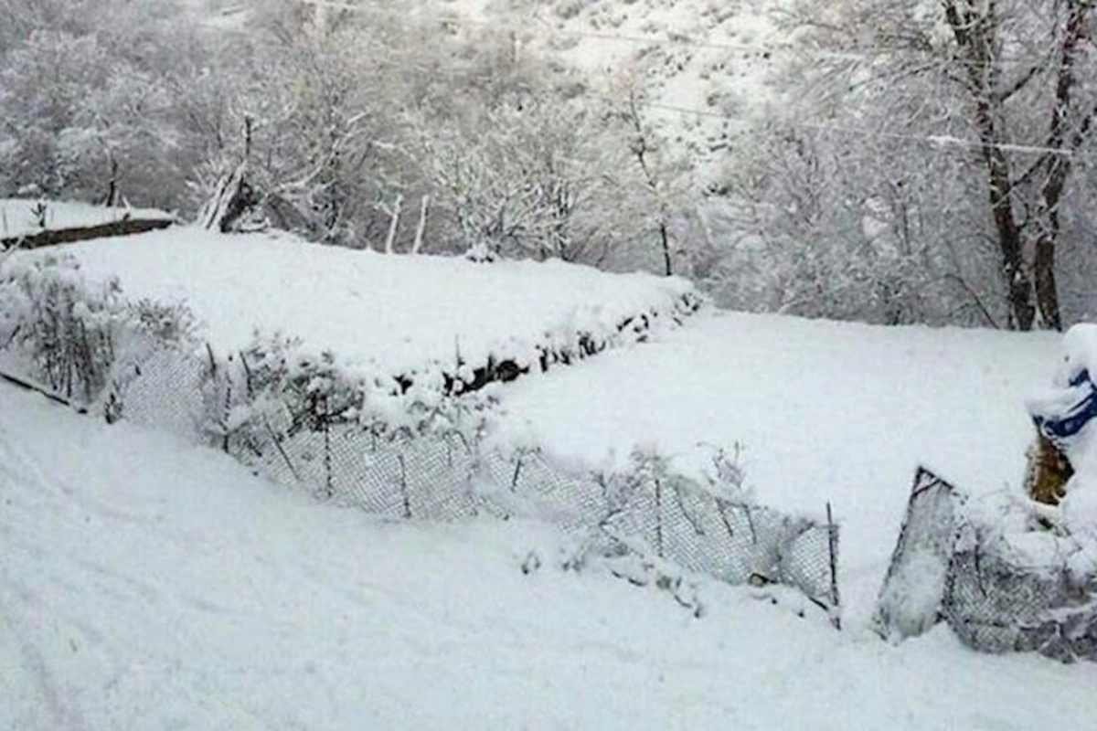 Bu rayona 62 sm qar yağıb — Faktiki hava