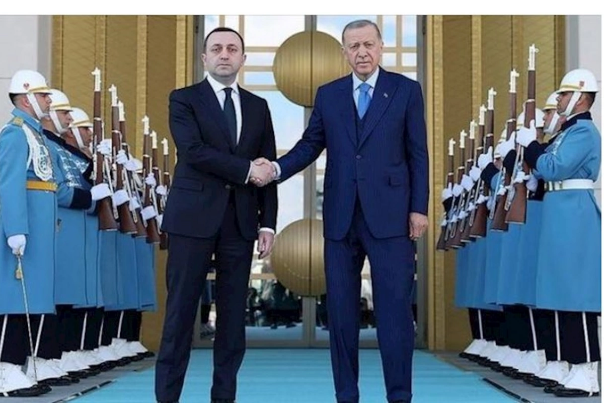 Ərdoğan Qaribaşvili ilə bölgədəki vəziyyəti müzakirə edib