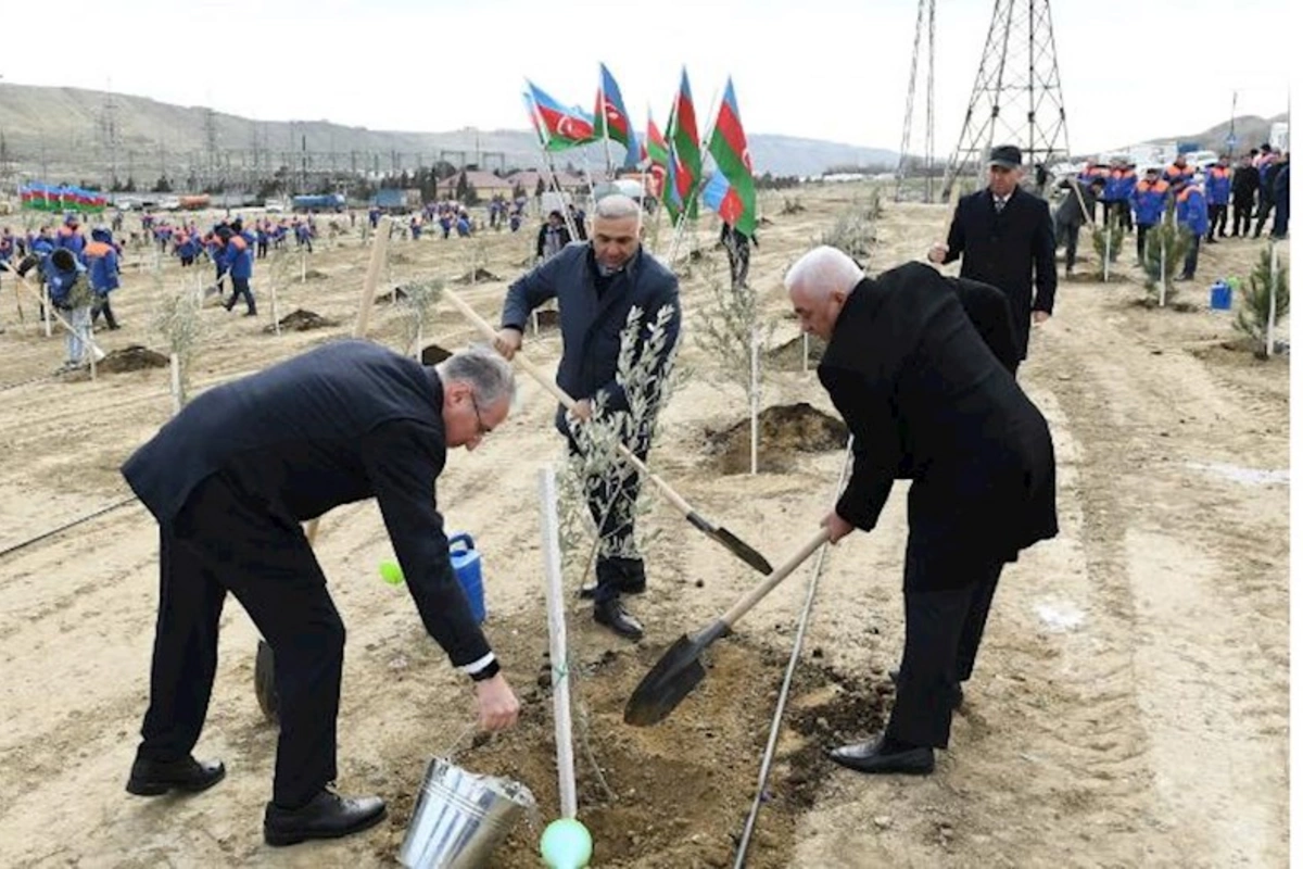 Heydər Əliyevin 100 illik yubileyi ilə əlaqədar ağacəkmə kampaniyası keçirildi — FOTO/VİDEO