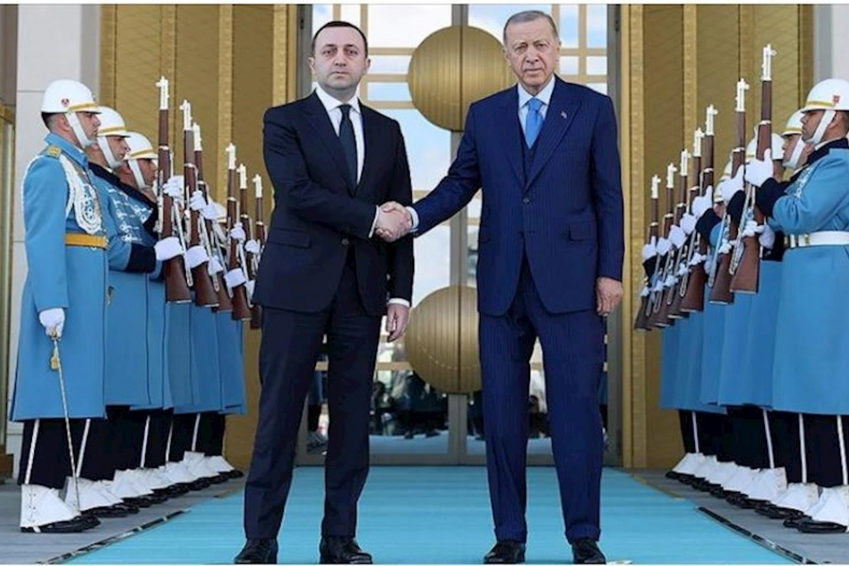 Ərdoğan Qaribaşvilini qəbul etdi — FOTO
