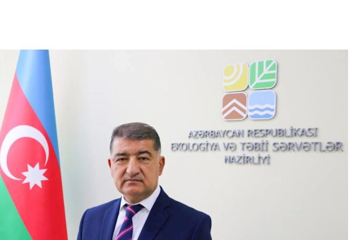Firdovsi Əliyevə yeni vəzifə verildi