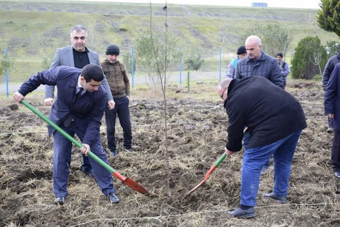 Masallıda “Heydər Əliyev və media” adlı konfrans keçirildi — FOTOLAR