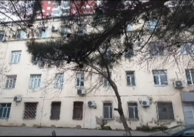 Nərimanov RİH-dən daha bir şikayət — Prezidentə müraciət edildi (FOTO)