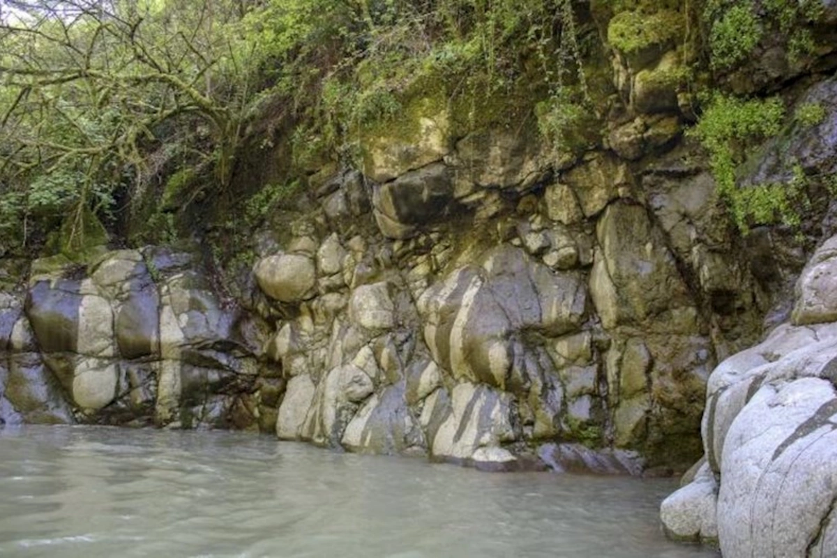 Bu gün Hirkan Milli Parkının yaradılması günüdür — FOTO