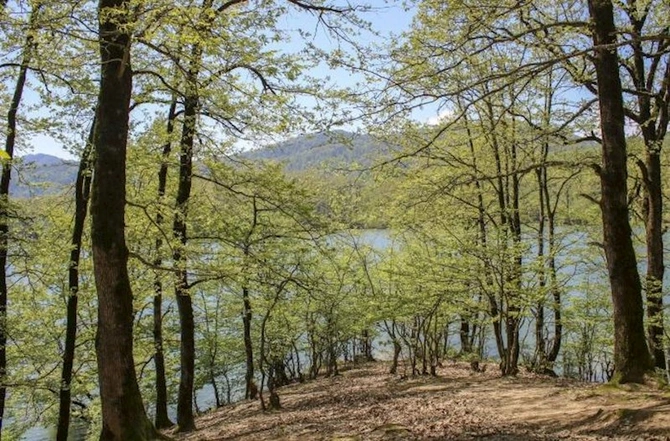 Bu gün Hirkan Milli Parkının yaradılması günüdür — FOTO Bu gün Hirkan Milli Parkının yaradılması günüdür — FOTO
