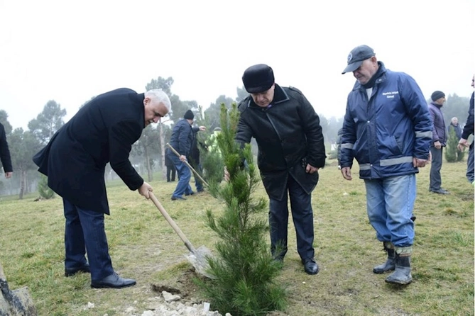 Xətai rayonunda “Heydər Əliyev İli” çərçivəsində növbəti ağacəkmə aksiyası keçirilib — FOTOLAR