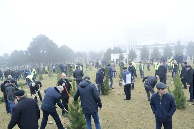 Xətai rayonunda “Heydər Əliyev İli” çərçivəsində növbəti ağacəkmə aksiyası keçirilib — FOTOLAR