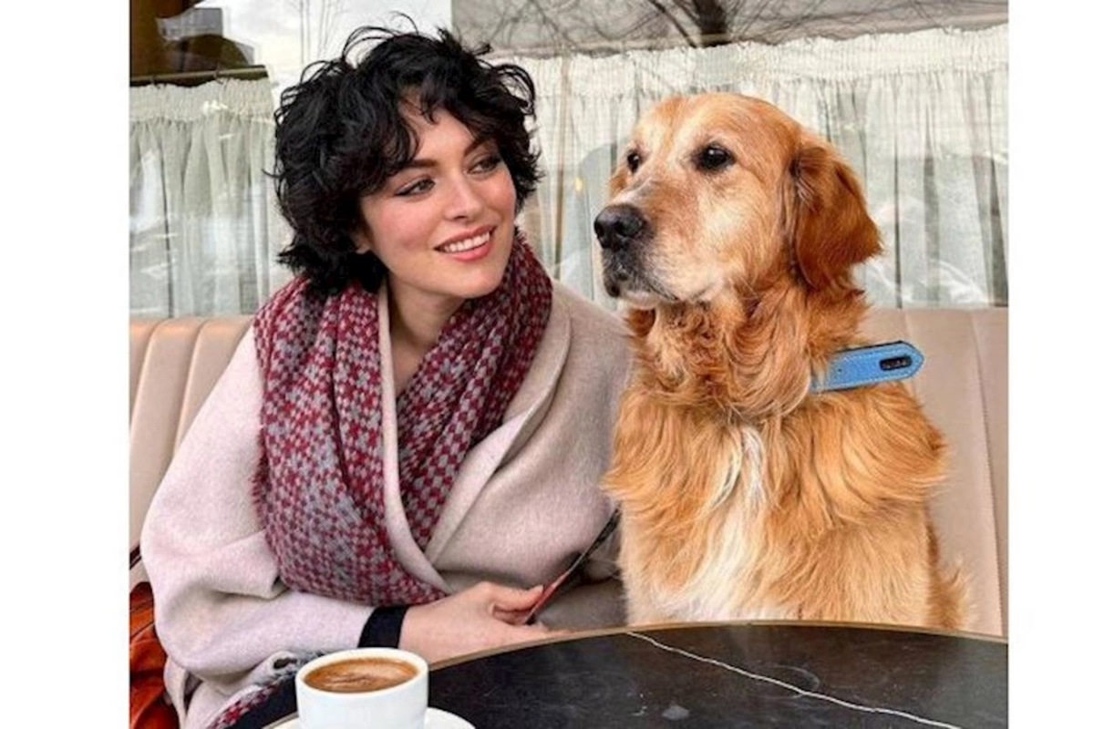 Məşhur aktrisa zəlzələdə xilas edilən itə sahib çıxdı — FOTO