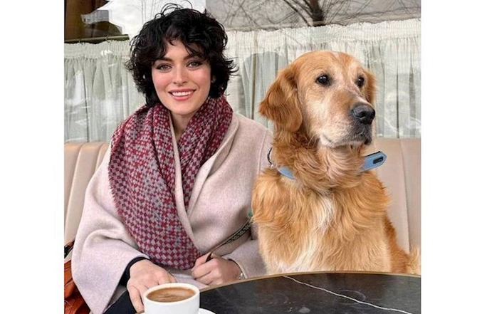 Məşhur aktrisa zəlzələdə xilas edilən itə sahib çıxdı — FOTO