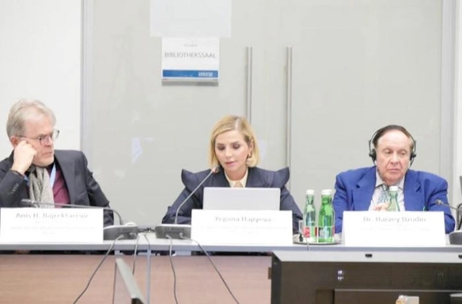 Azərbaycan Vyanada tədbir keçirdi: “Münaqişə jurnalistikası və jurnalistlərin təhlükəsizliyi” — FOTOLAR