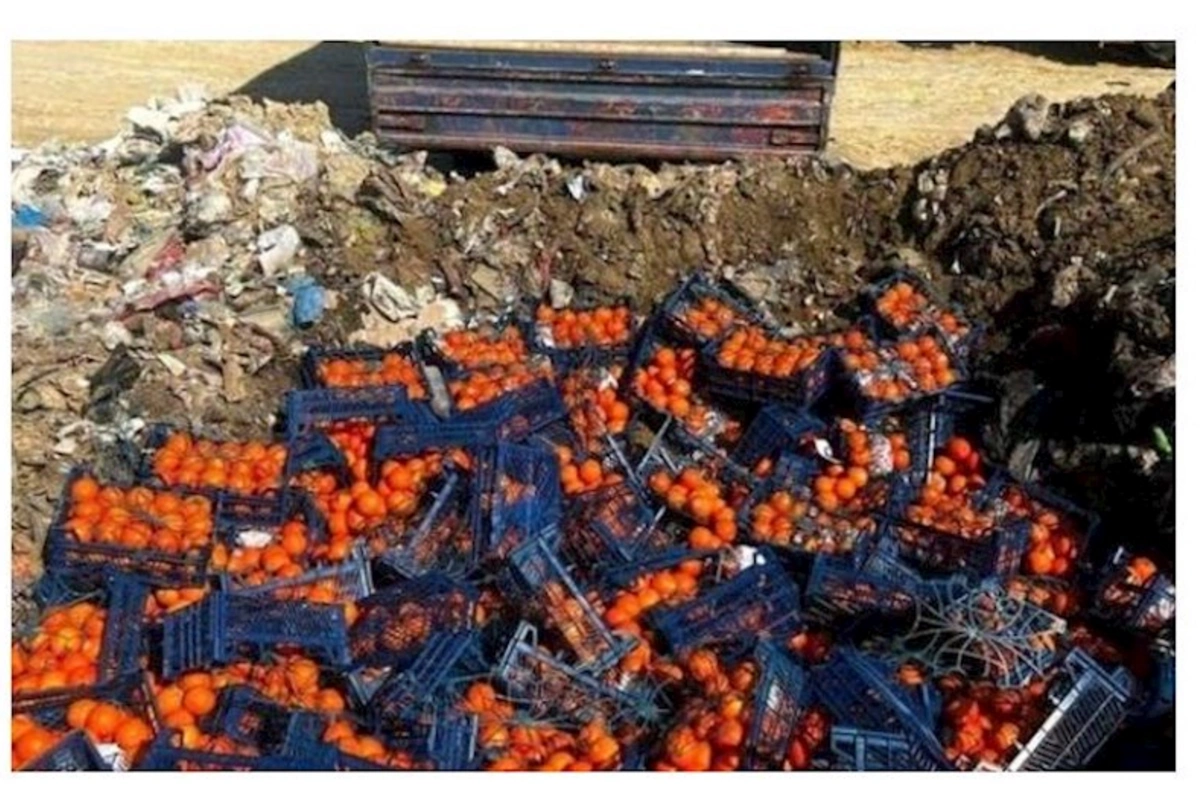 İrandan gətirilən portağal və bibərdə viruslar aşkarlandı — FOTO