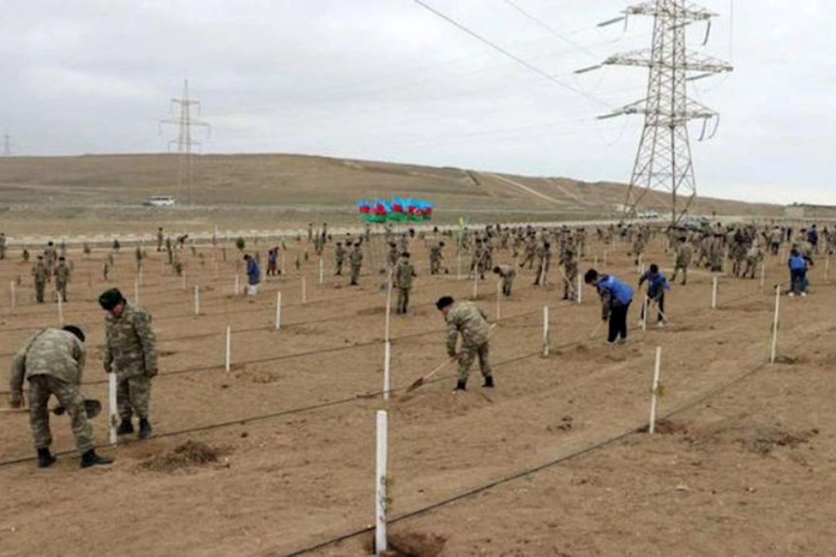 Azərbaycan Ordusunda ağacəkmə aksiyaları keçirilib — FOTO