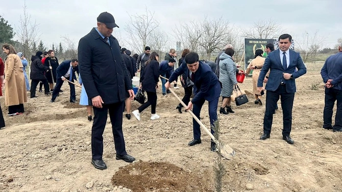 Heydər Əliyevin anadan olmasının 100 illiyi münasibətilə Salyanda ağacəkmə aksiyası keçirildi — FOTOLAR