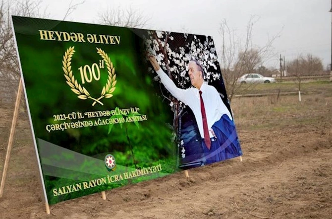 Salyanda ağacəkmə aksiyası keçirilib — FOTOLAR