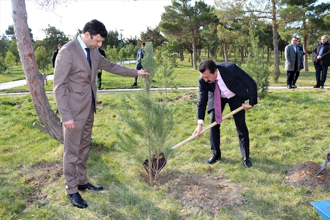 İpoteka və Kredit Zəmanət Fondu ağacəkmə aksiyası keçirdi — FOTO İpoteka və Kredit Zəmanət Fondu ağacəkmə aksiyası keçirdi — FOTO