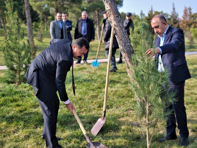 İpoteka və Kredit Zəmanət Fondu ağacəkmə aksiyası keçirdi — FOTO İpoteka və Kredit Zəmanət Fondu ağacəkmə aksiyası keçirdi — FOTO