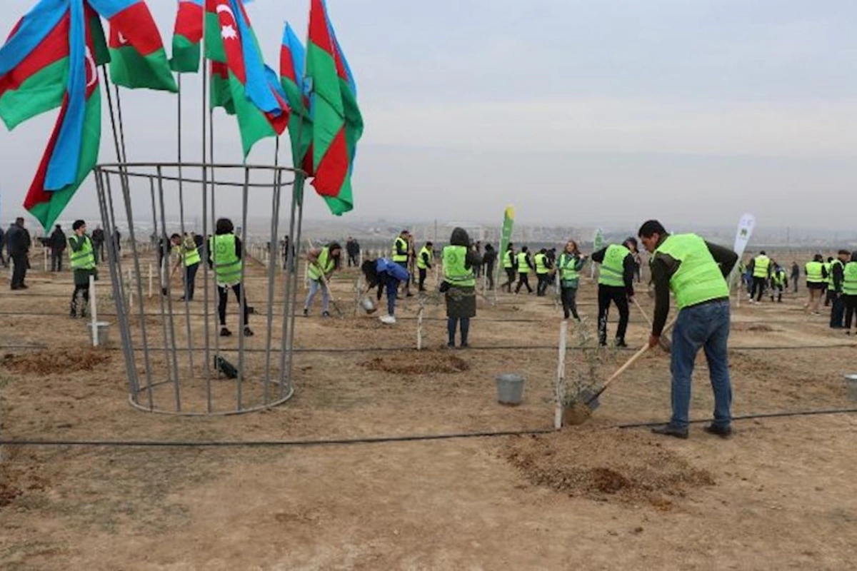 Heydər Əliyevin 100 illik yubileyi ilə əlaqədar növbəti ağacəkmə tədbiri keçirilib — FOTOLAR